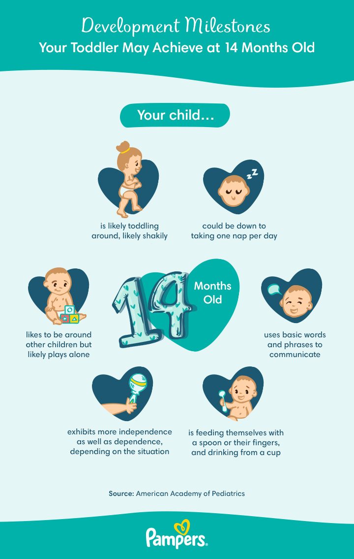 14 Month Developmental Milestones News Tribun