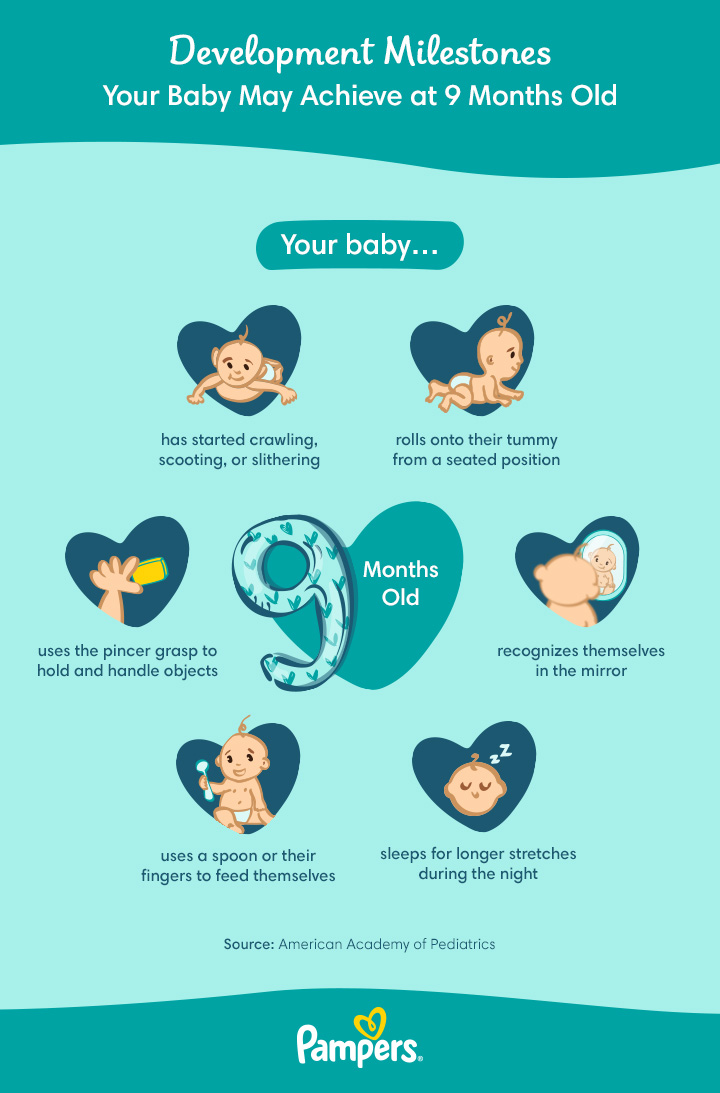 Infant Developmental Milestones